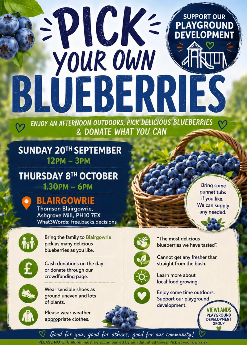 Pick Your Own Blueberries fundraising event flyer